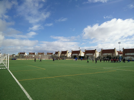 Polideportivo Municipal De Torrejón De La Calzada - Thumbnail