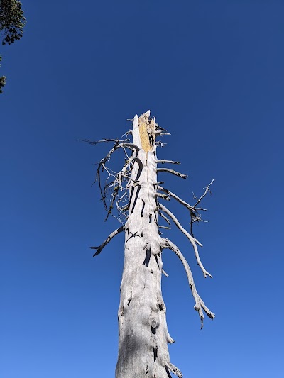 Lake Alpine Recreation Area