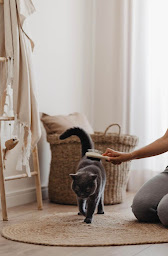 Photo n°19 de muy mucho à Epagny Metz-Tessy (Magasin d'ameublement et de décoration)