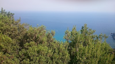 Photos of caps bougaroune