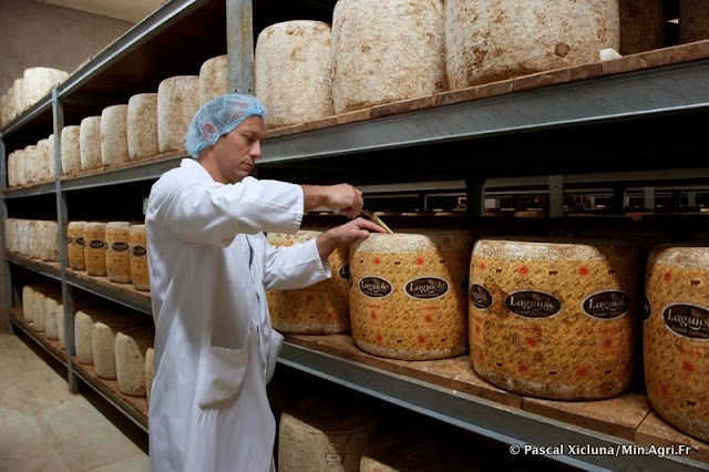 Coopérative Fromagère Jeune Montagne