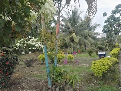 Photos of POstobon