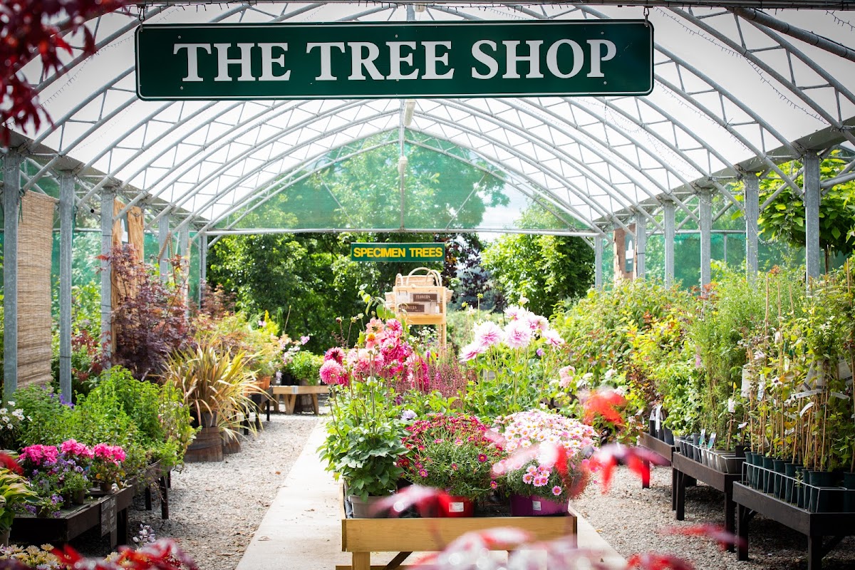 Frank P Matthews Tree Shop