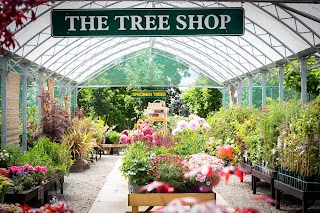 Frank P Matthews Tree Shop