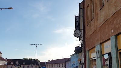 Photos of Hotel Zlat&yacute; Jelen