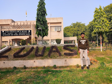 Af1qipml0c33s7bdqodo392rnvnpdmdecldq Mrc Rbw=s451 K No