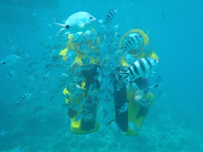 Photos of Scubadoo Dive Mauritius