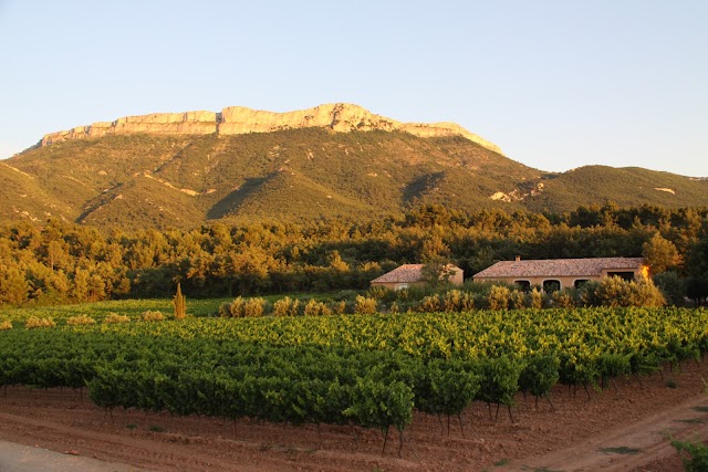 DOMAINE SAINT-HUBERT