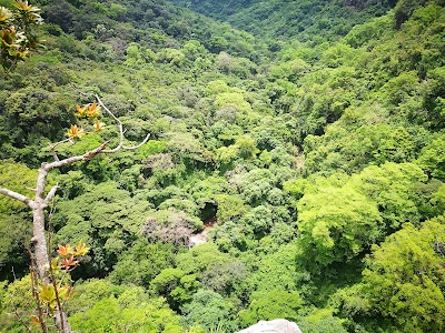 Photos of Krantzkloof Nature Reserve