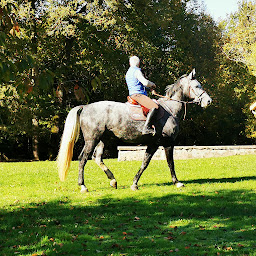 Photo n°6 de Les Ecuries du Claud Neuf à Augignac (Centre équestre)