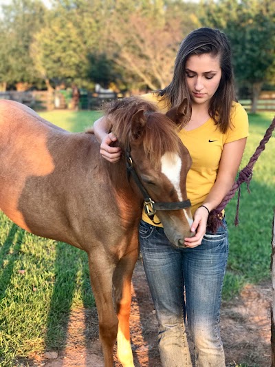 Lightning Strike Ranch