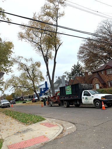 Lopez tree and Landscape Services - Thumbnail