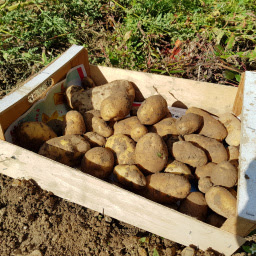 Photo n°17 de Drive du Marché de Charny à Charny Orée de Puisaye (Marché alimentaire)