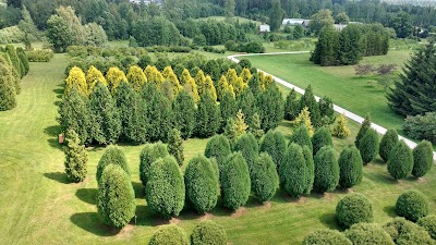 Photos of Latvijas valsts meži, Kalsnavas kokaudzētava