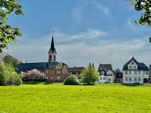 Steinheim - Thumbnail