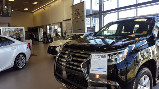 Ens Lexus - Visual