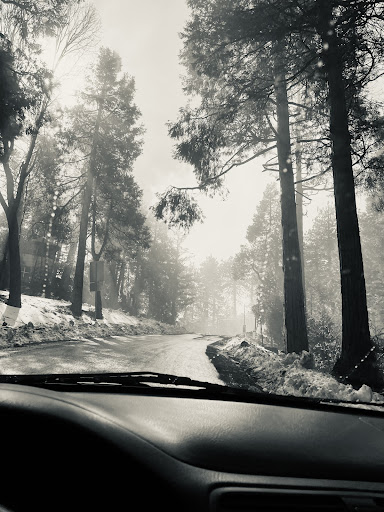 Mountain Treats