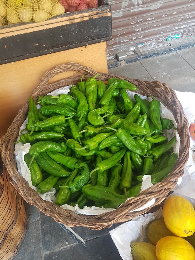 Tugas
