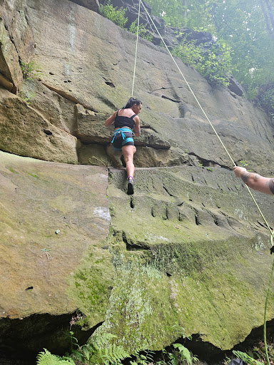 LogTown Climbing Gallery - United States