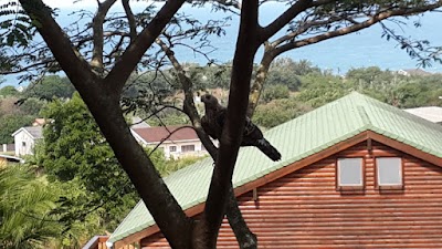 Photos of Hib Escape Pet Friendly Timber Cabins & Villa