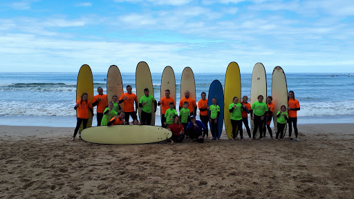 Ocean Mind Anglesea - Visual