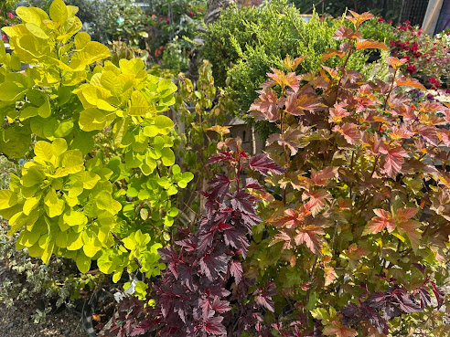 Growing Concerns Garden Centre Ltd by null