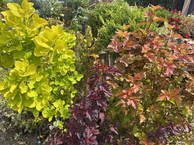 Growing Concerns Garden Centre Ltd by null