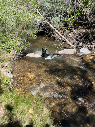 Desert Creek Campground Gallery - United States