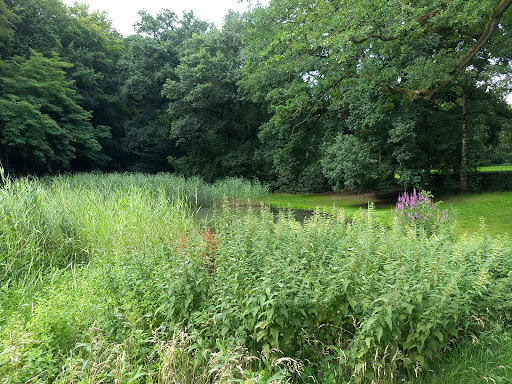Daltonschool Daalhuizen