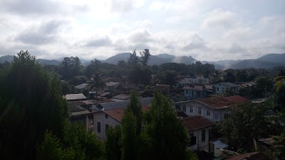 Photos of Lily the home