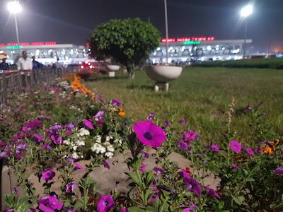Photos of Garden - Dhaka Airport