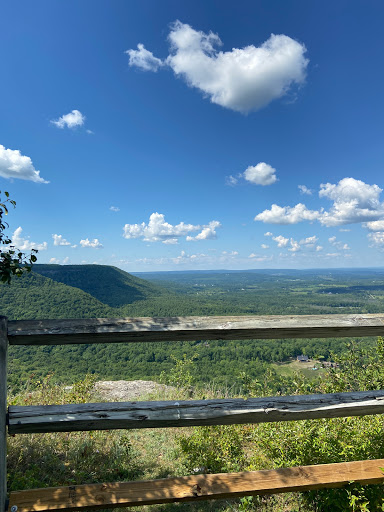 High Point (Thacher Park) - Thumbnail