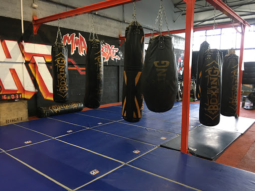 Tek Gym - Thumbnail
