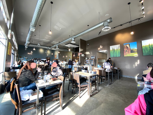 Grains Bakery Cafe - Visual