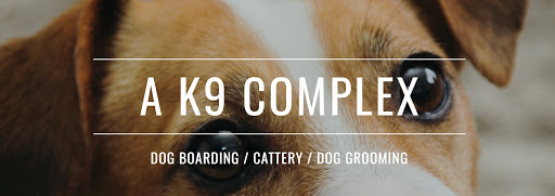 A K9 COMPLEX - Visual
