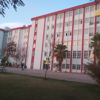 school