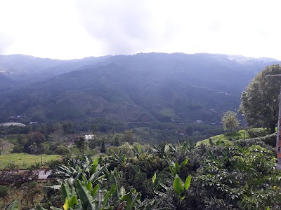 Photos of Parque Los Naranjos