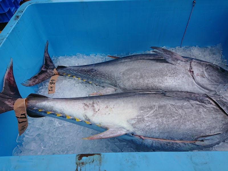 岡村つり具鮮魚店