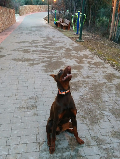 Paseo De La Fontanica - Thumbnail