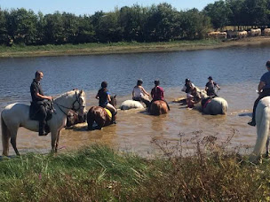 Photo n°4 de Les Écuries d'Artpaillange à Grosbreuil (Centre équestre)