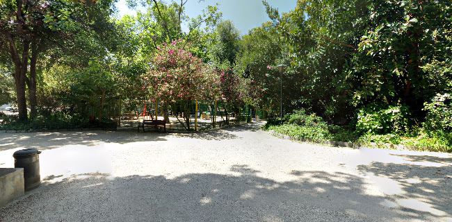 Parque Municipal Carlos Hidalgo Gomes de Loureiro