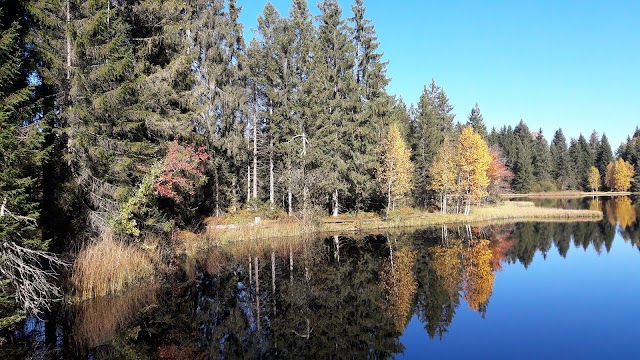 Etang de la Gruère