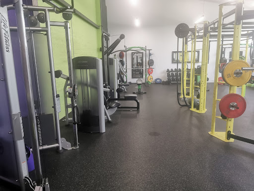 Gym Active - Visual