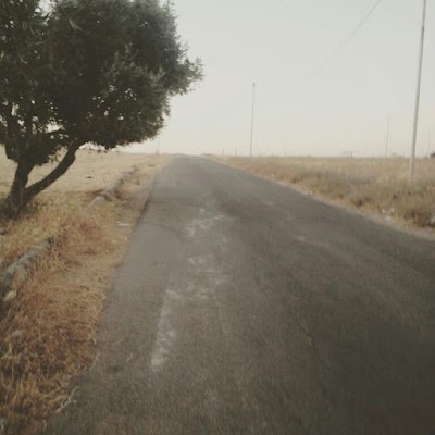 Photos of مندح