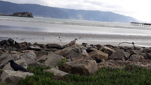 Beachfront Park - Visual