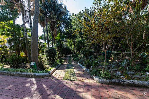 University Botanical Garden