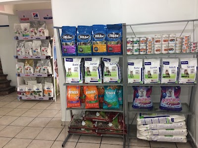 veterinary-care