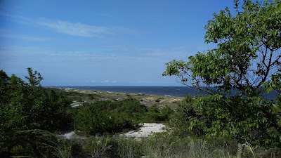 Fort Miles Historical Area