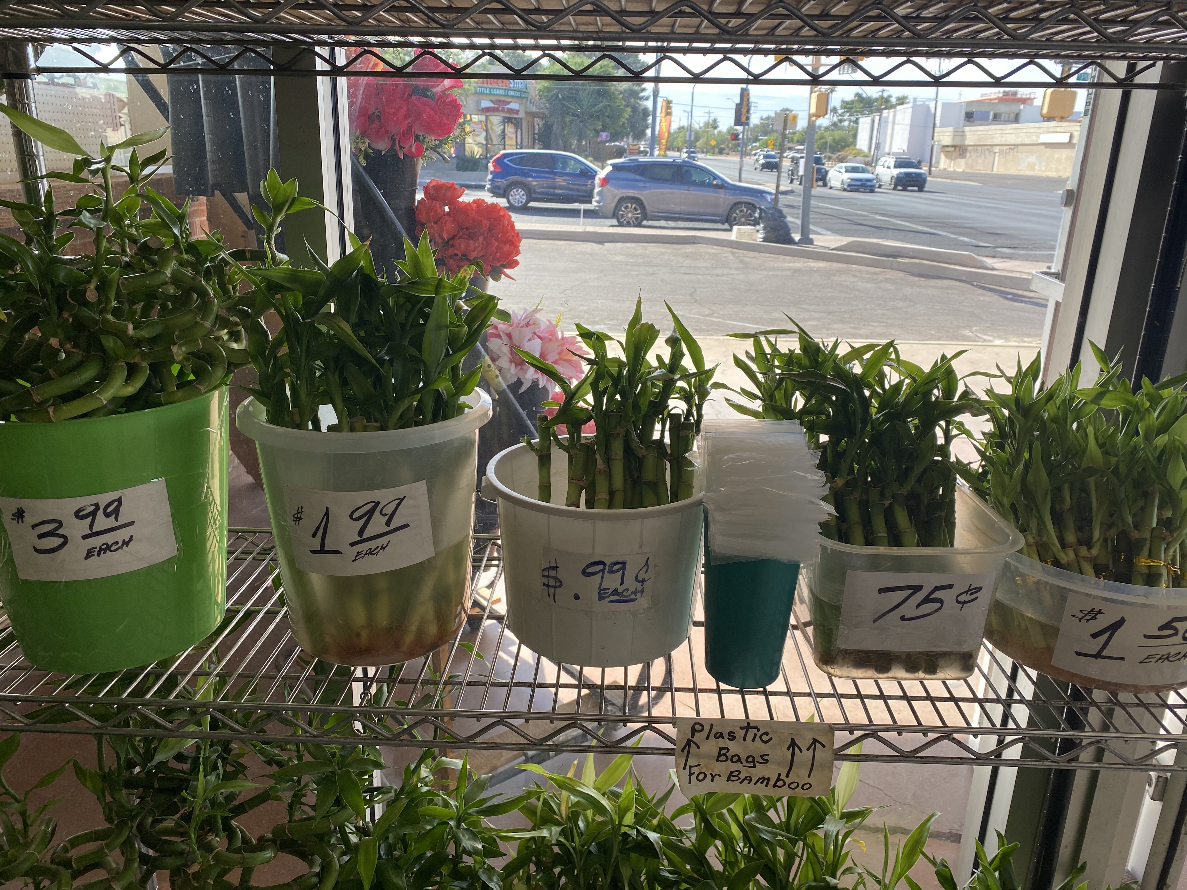 Spadefoot Nursery