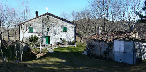 Campogendo - Visual
